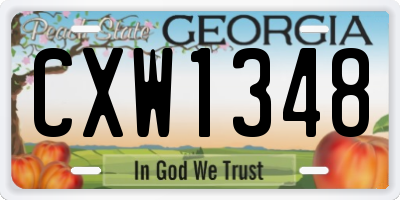 GA license plate CXW1348