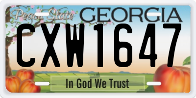GA license plate CXW1647