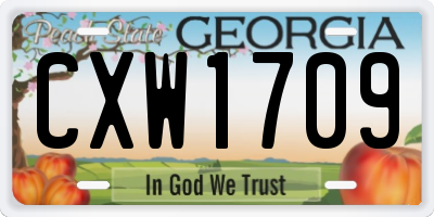 GA license plate CXW1709