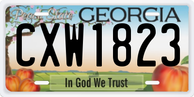 GA license plate CXW1823