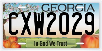 GA license plate CXW2029