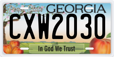 GA license plate CXW2030