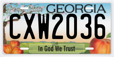 GA license plate CXW2036