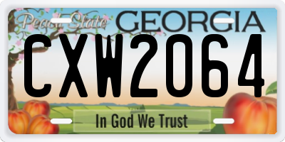 GA license plate CXW2064