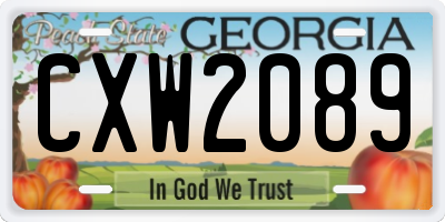 GA license plate CXW2089