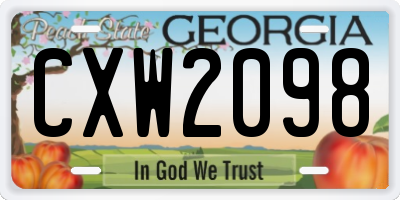 GA license plate CXW2098