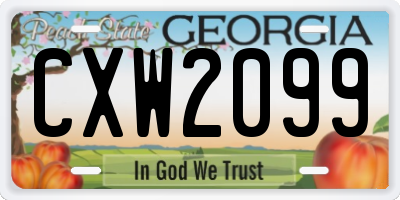 GA license plate CXW2099