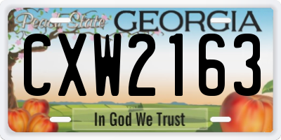 GA license plate CXW2163