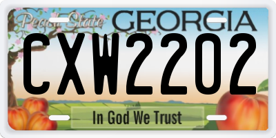 GA license plate CXW2202
