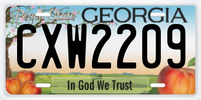 GA license plate CXW2209