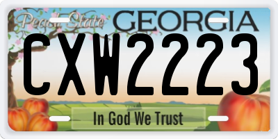 GA license plate CXW2223