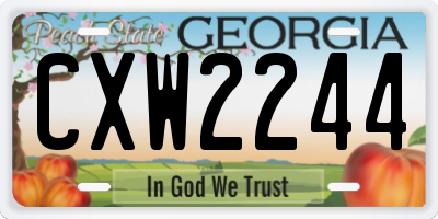 GA license plate CXW2244