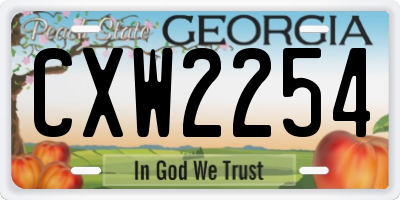 GA license plate CXW2254