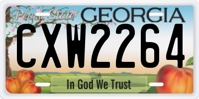 GA license plate CXW2264