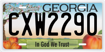 GA license plate CXW2290