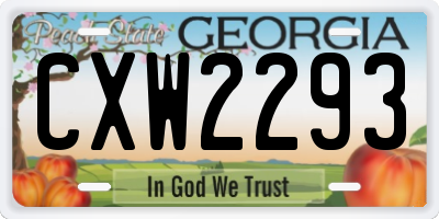 GA license plate CXW2293