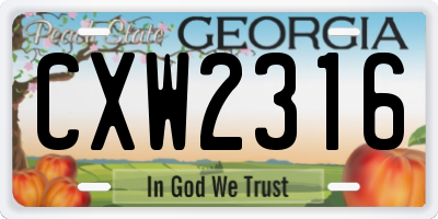 GA license plate CXW2316