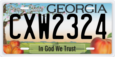 GA license plate CXW2324