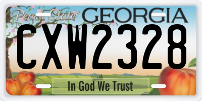 GA license plate CXW2328