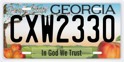 GA license plate CXW2330