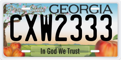 GA license plate CXW2333