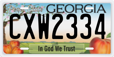 GA license plate CXW2334