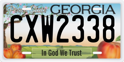 GA license plate CXW2338