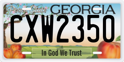 GA license plate CXW2350