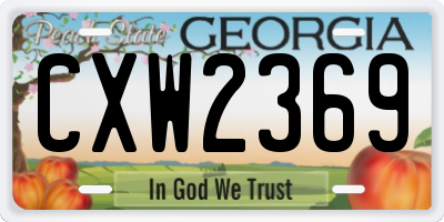 GA license plate CXW2369