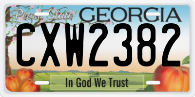 GA license plate CXW2382