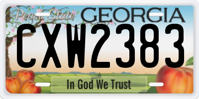 GA license plate CXW2383