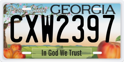 GA license plate CXW2397