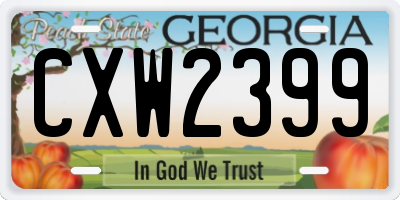 GA license plate CXW2399