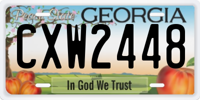 GA license plate CXW2448