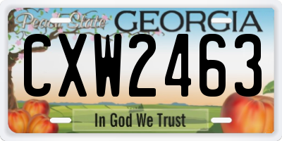 GA license plate CXW2463