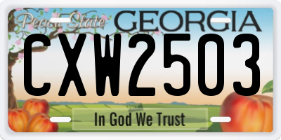 GA license plate CXW2503