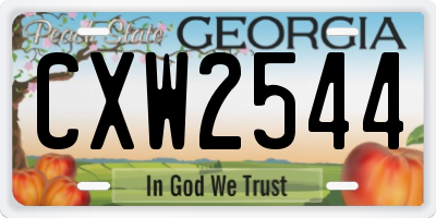 GA license plate CXW2544