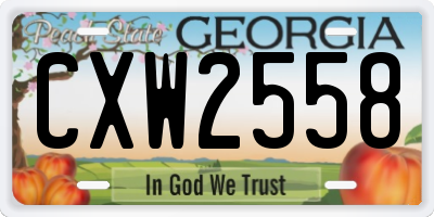 GA license plate CXW2558