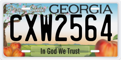 GA license plate CXW2564