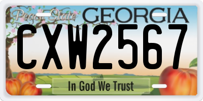 GA license plate CXW2567