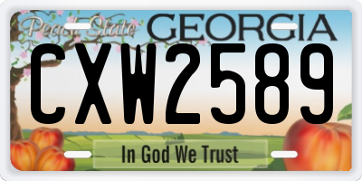 GA license plate CXW2589