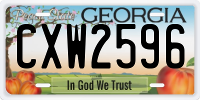 GA license plate CXW2596