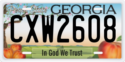 GA license plate CXW2608