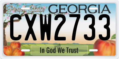 GA license plate CXW2733