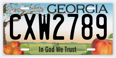 GA license plate CXW2789