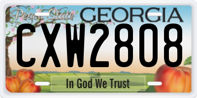 GA license plate CXW2808