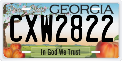 GA license plate CXW2822