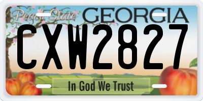 GA license plate CXW2827