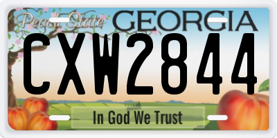 GA license plate CXW2844