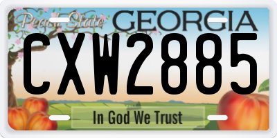 GA license plate CXW2885